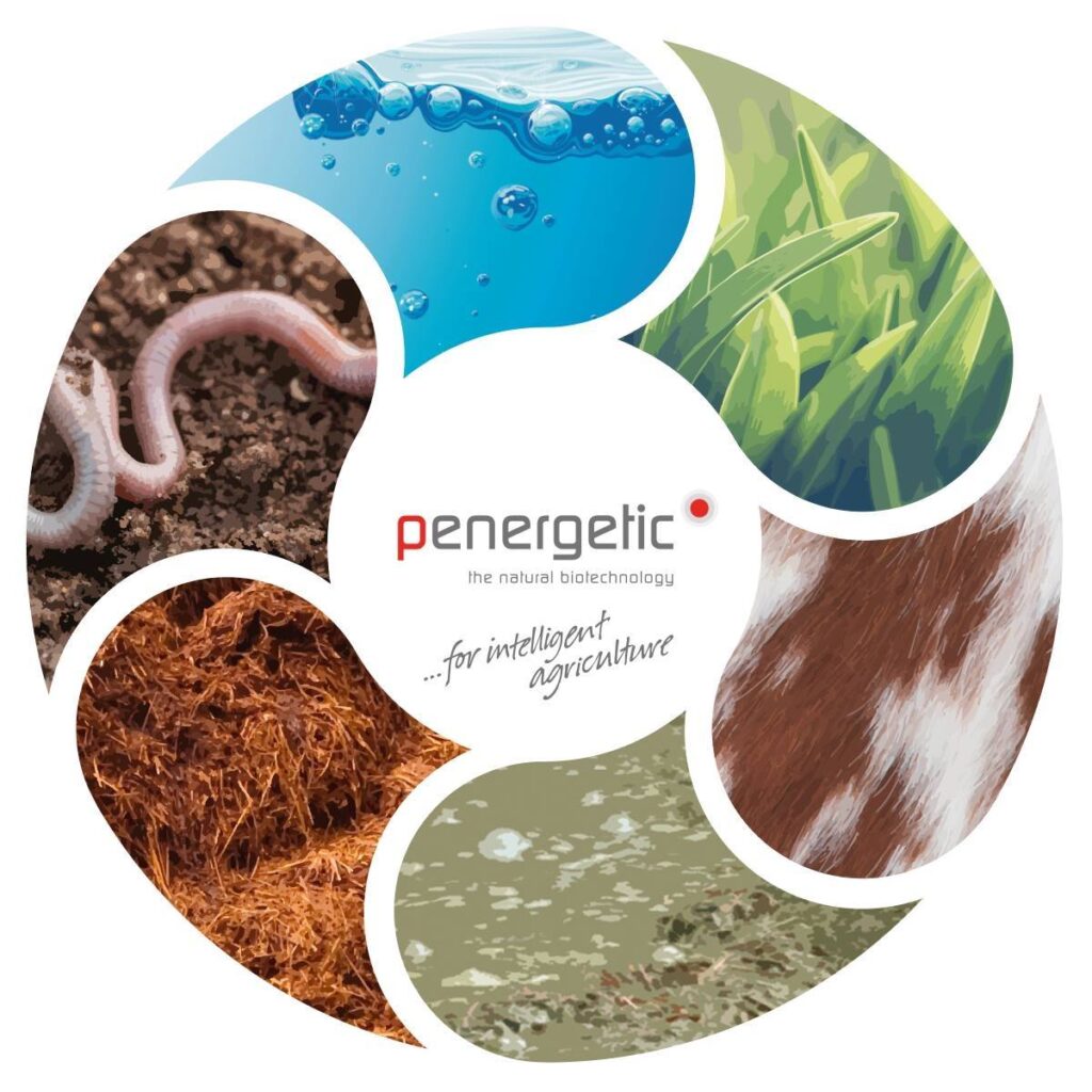 PENERGETIC – Inteligencia Vegetal